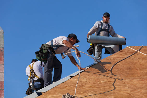 Best New Roof Installation  in Centuria, WI